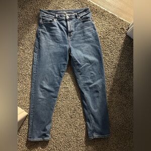 American Eagle Outfitters Blue Mom Jeans
